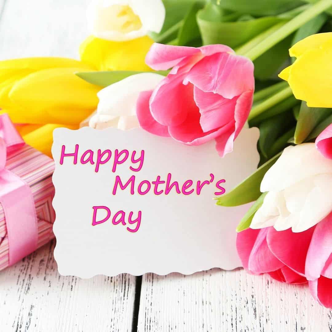 Z Okazji Dnia Matki
Składamy Wszystkiem Mamom 
Najserdeczniejsze Życzenia
Zdrowia,pomyślności, spełnienia marzeń oraz pogody ducha, a także cudownych chwil pełnych uśmiechu i nieustającego zadowolenia
